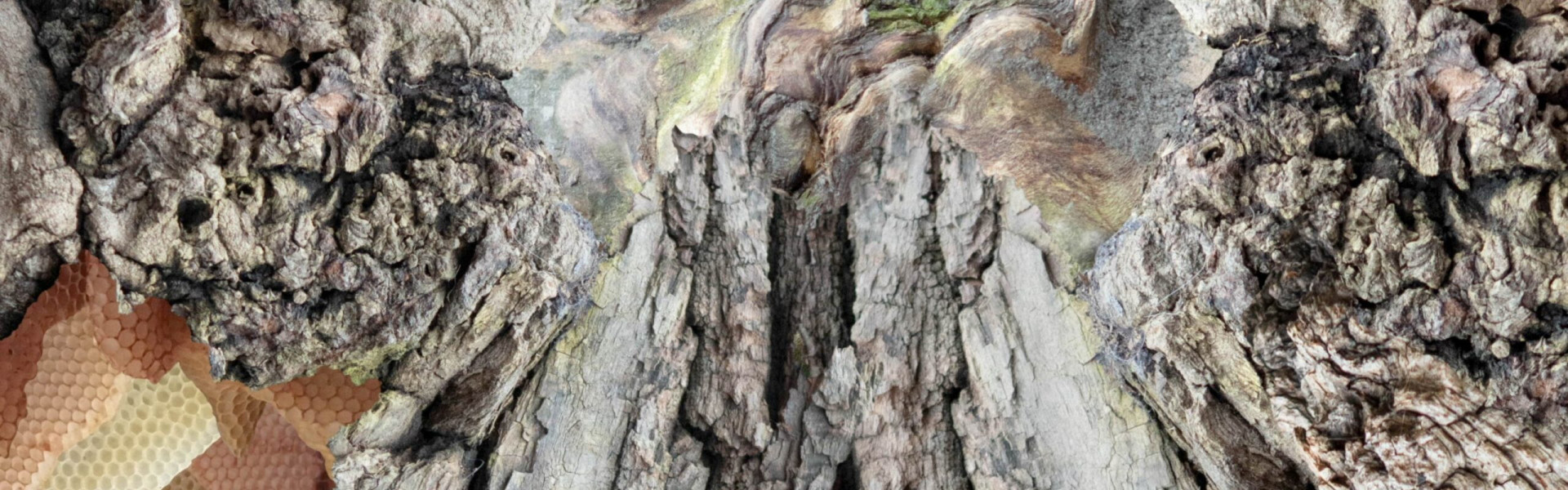 The Great Tree Piece - Visit Luxembourg City