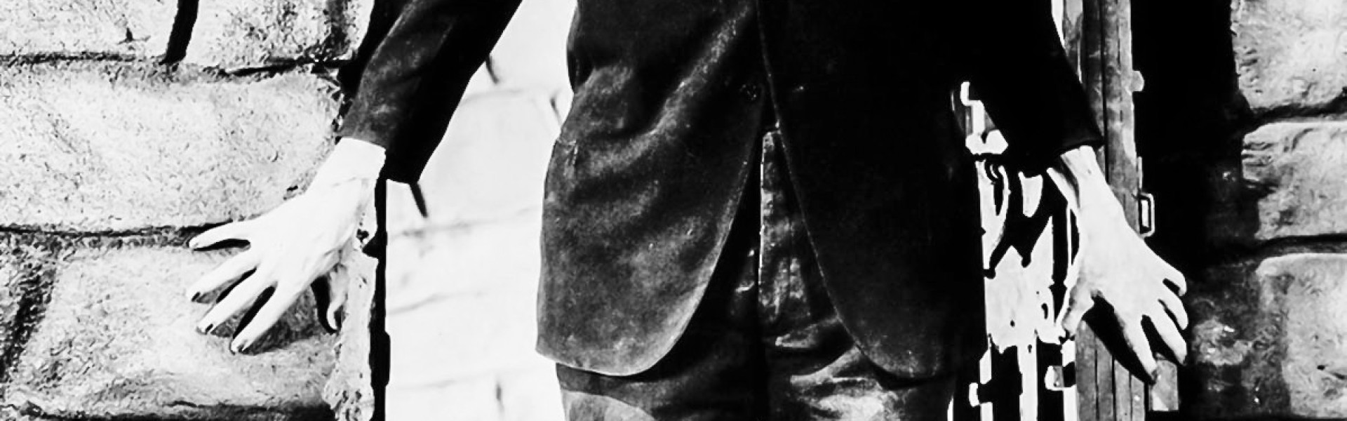 Frankenstein (Rétrospective Guillermo del Toro) - Visit Luxembourg ...