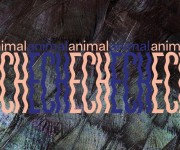 Führungen der Ausstellung "animalECH"