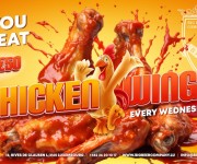CHICKEN WINGS