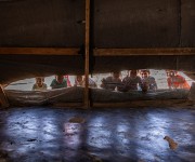 La Grande Expo: guided tours for young people